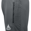 Тренувальні штани SELECT Monaco v24 training pants regular fit Grey
